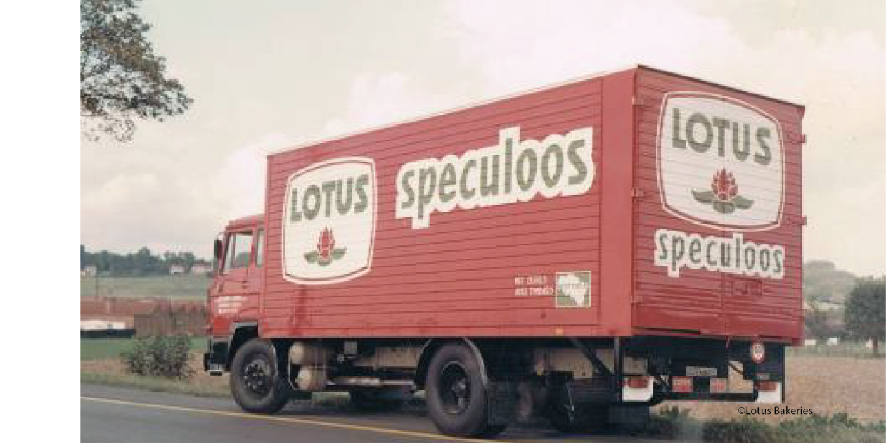 Lotus speculoos